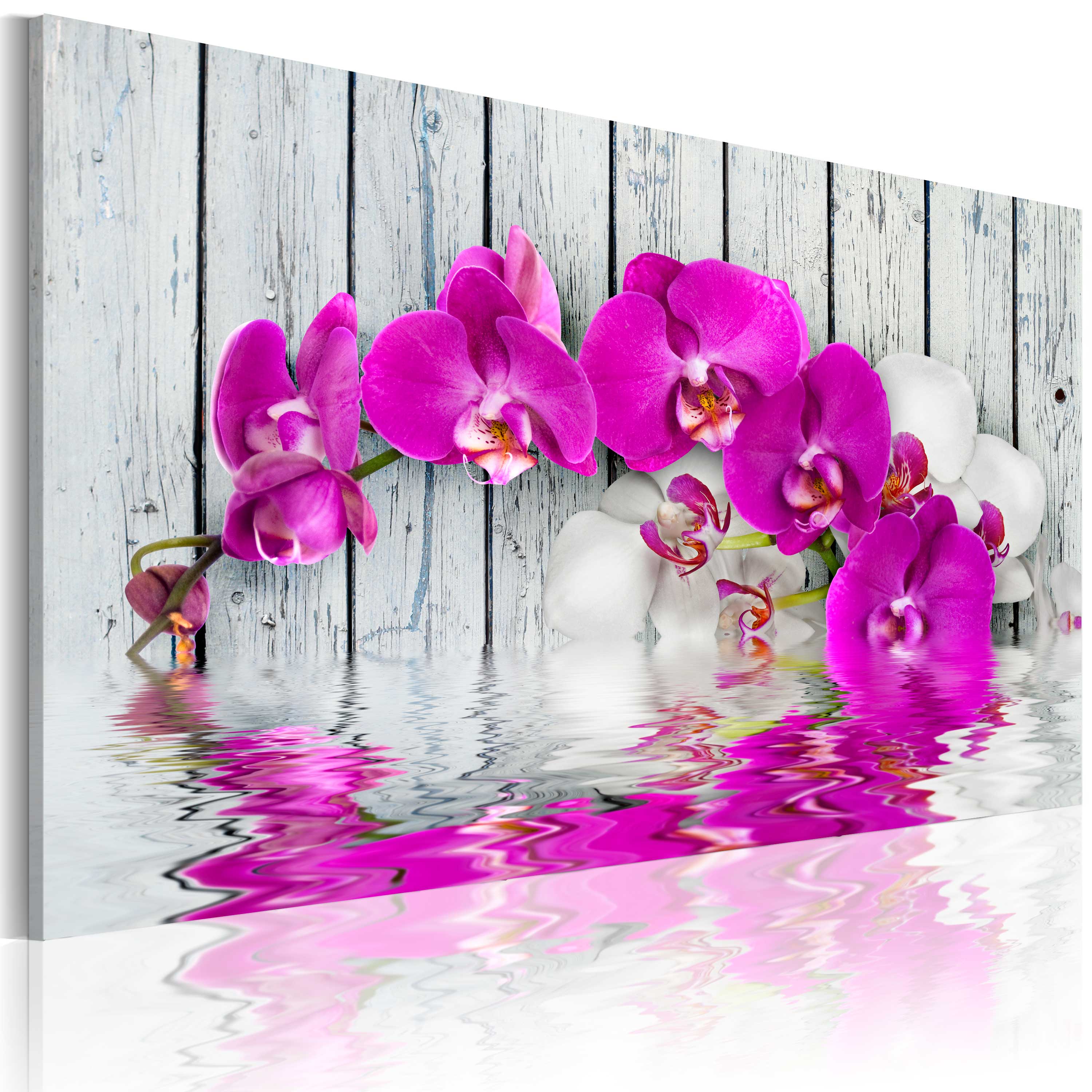 Glezna - harmony_ orchid 60x40 Home Trends