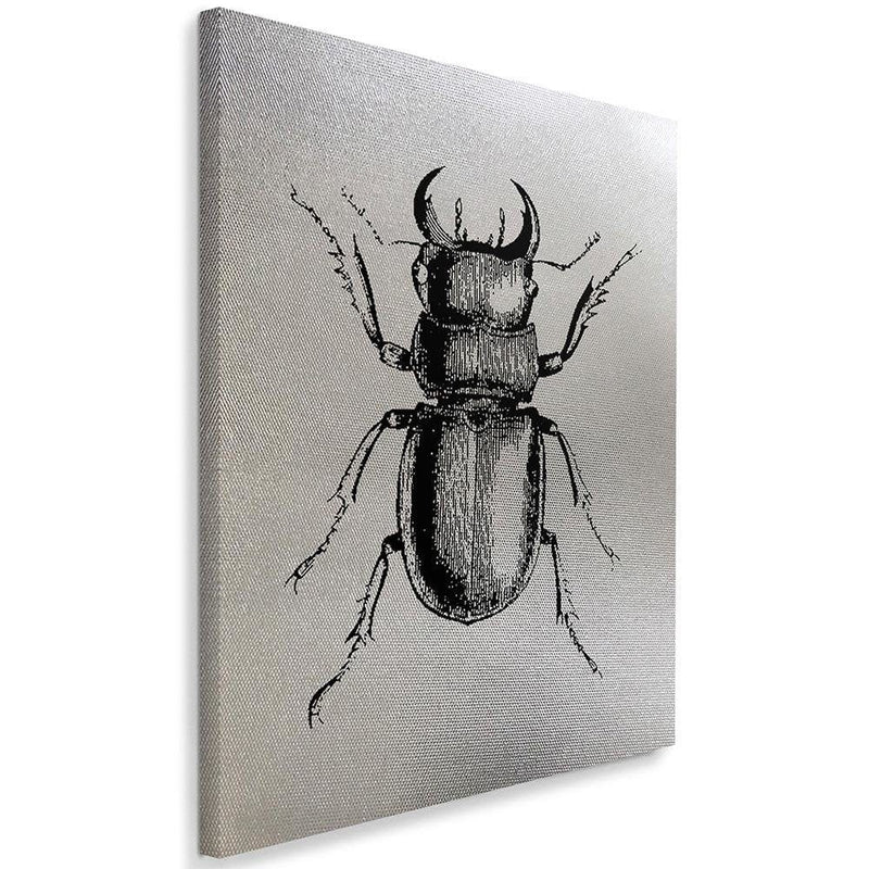 Kanva - Insect Drawn 1  Home Trends DECO