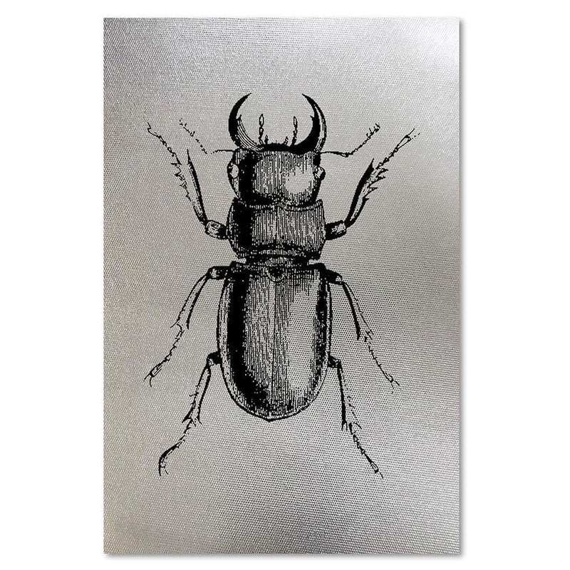 Kanva - Insect Drawn 1  Home Trends DECO