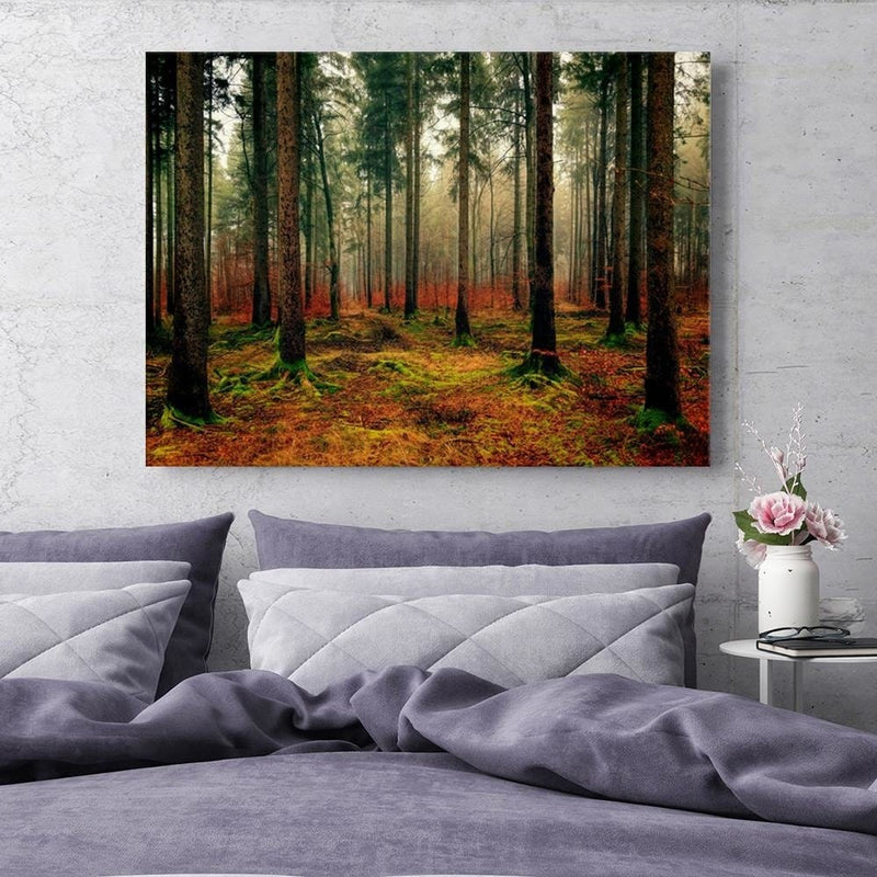 Kanva - Krāsains mežs  Home Trends DECO