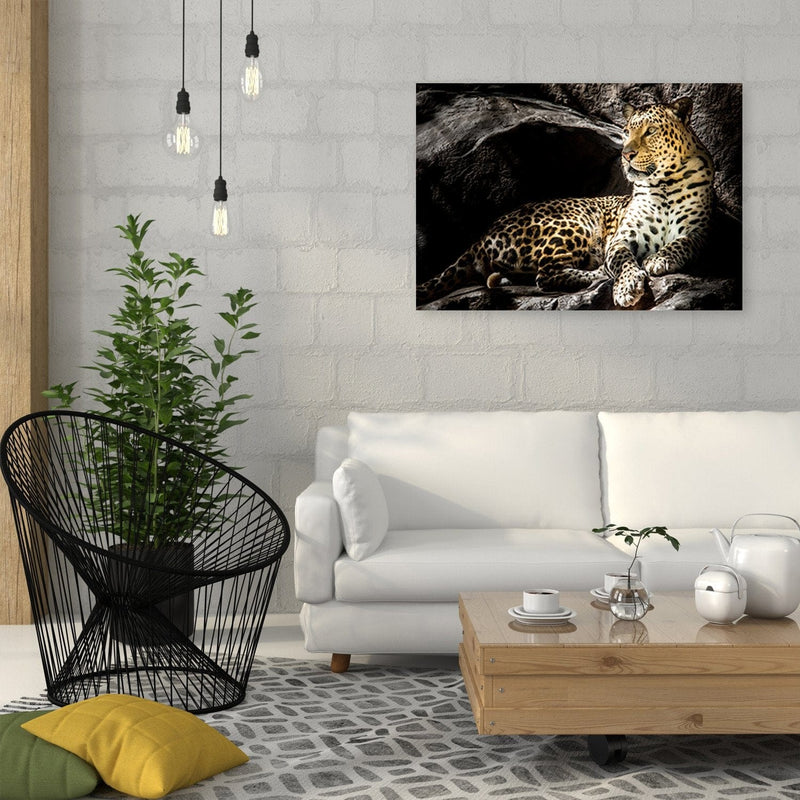 Kanva - Leopard On The Rocks  Home Trends DECO