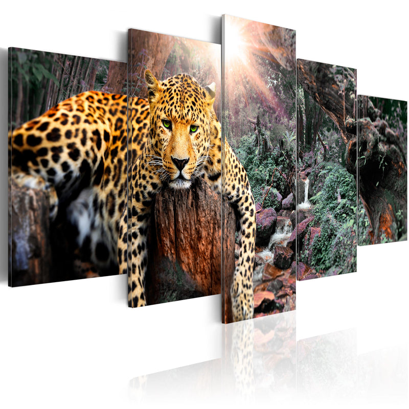 Glezna - Leoparda relaksācija Home Trends