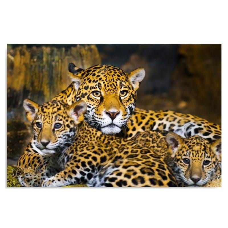 Kanva - Leopards Family  Home Trends DECO