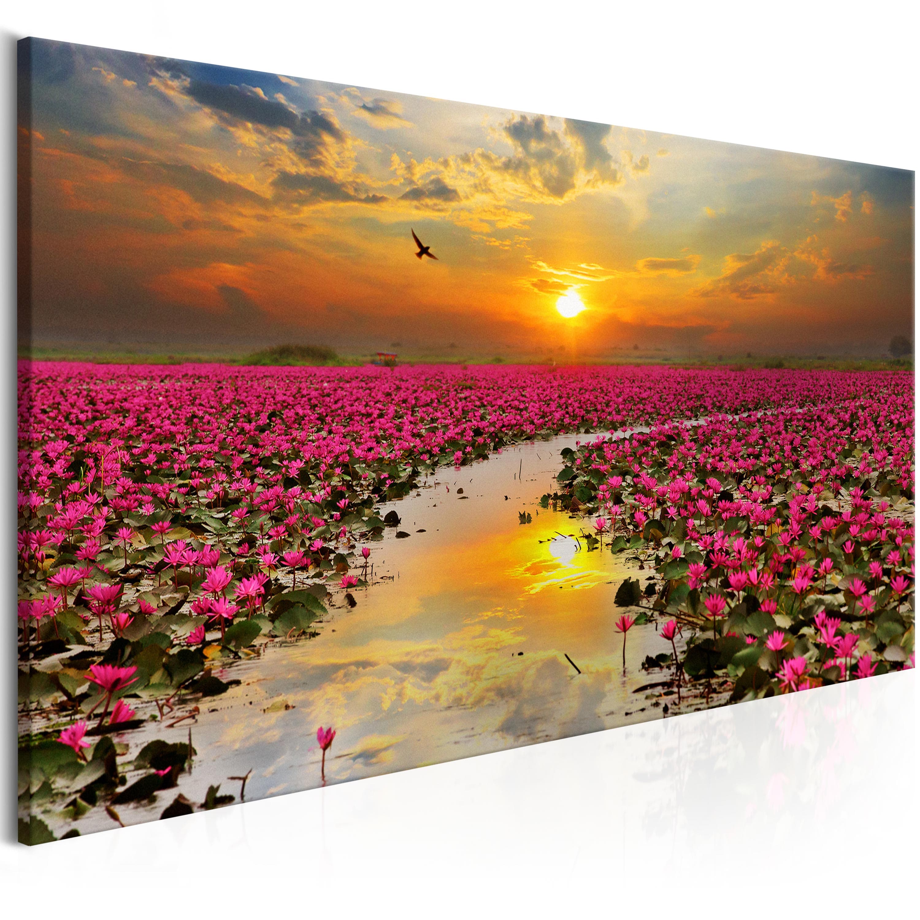 Glezna - Lily Field (1 Part) Wide 100x45 Home Trends
