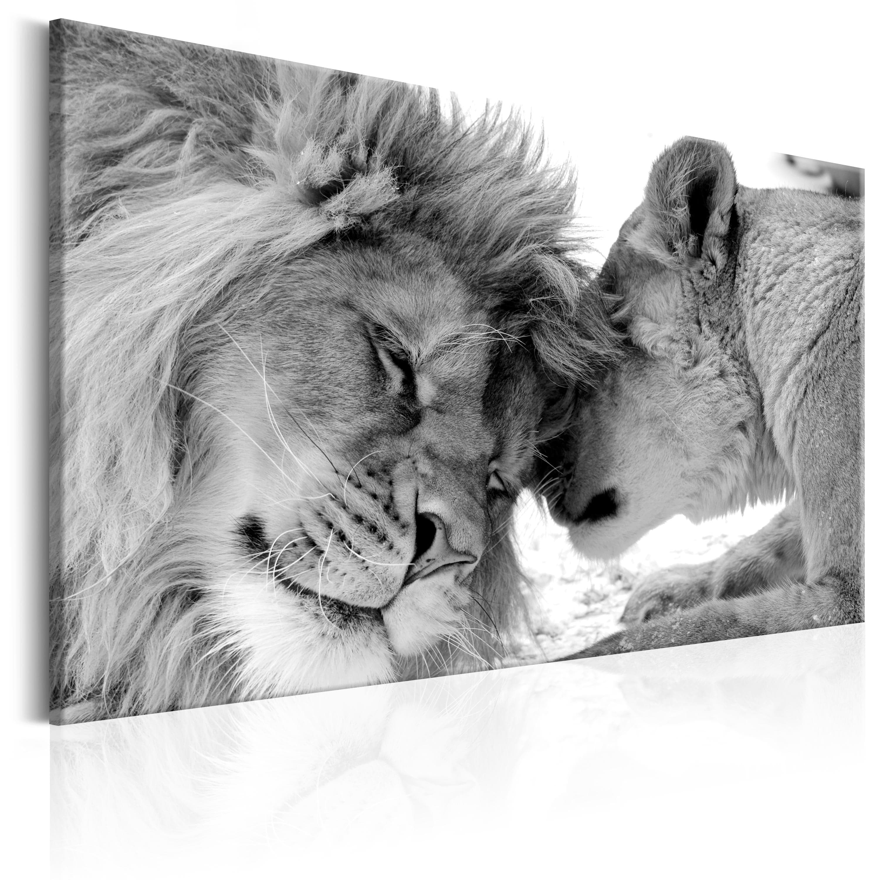 Glezna - Lion's Love Home Trends