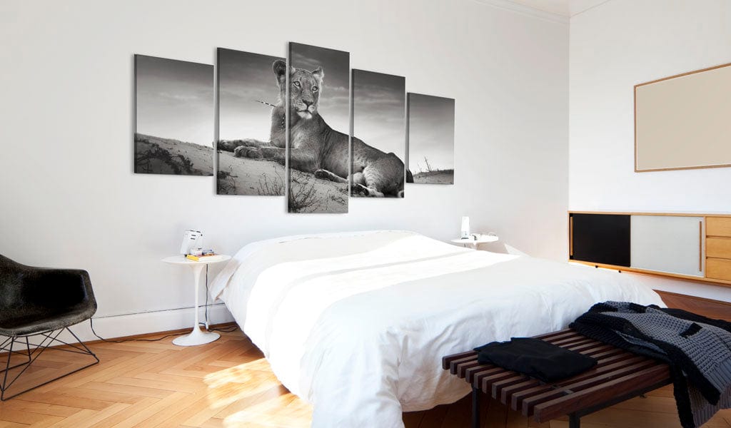 Glezna - Lioness in a desert Home Trends