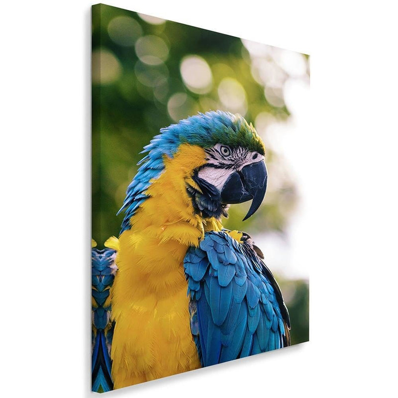 Kanva - Macaw Parrot  Home Trends DECO