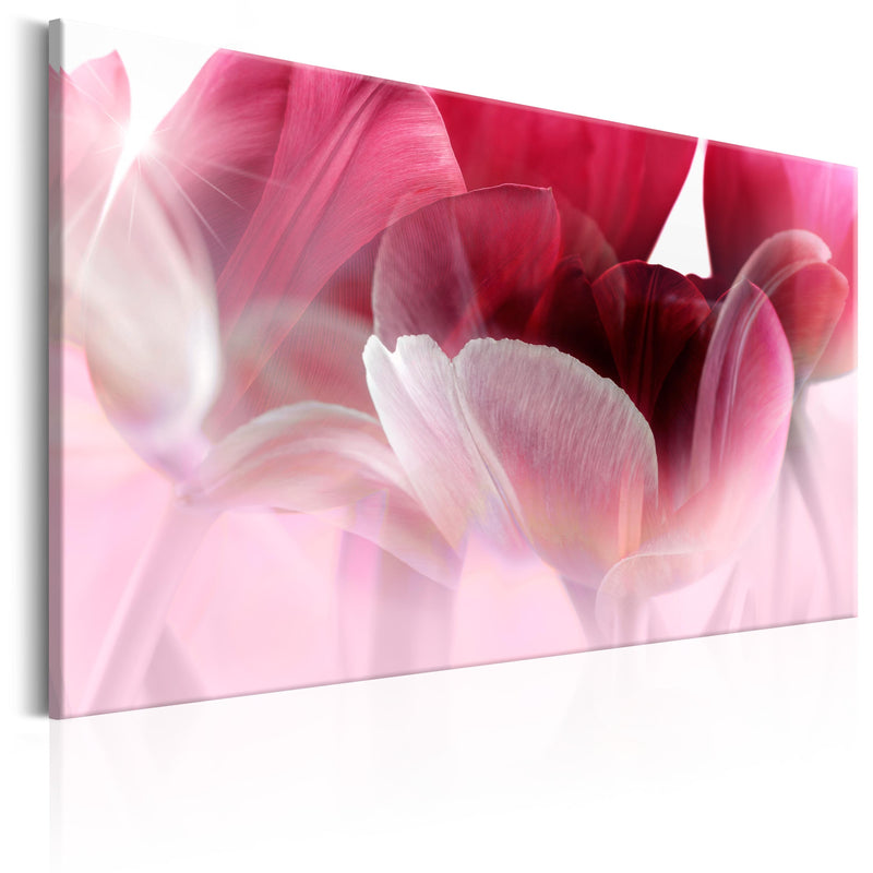 Kanva - Nature_ Pink Tulips Home Trends
