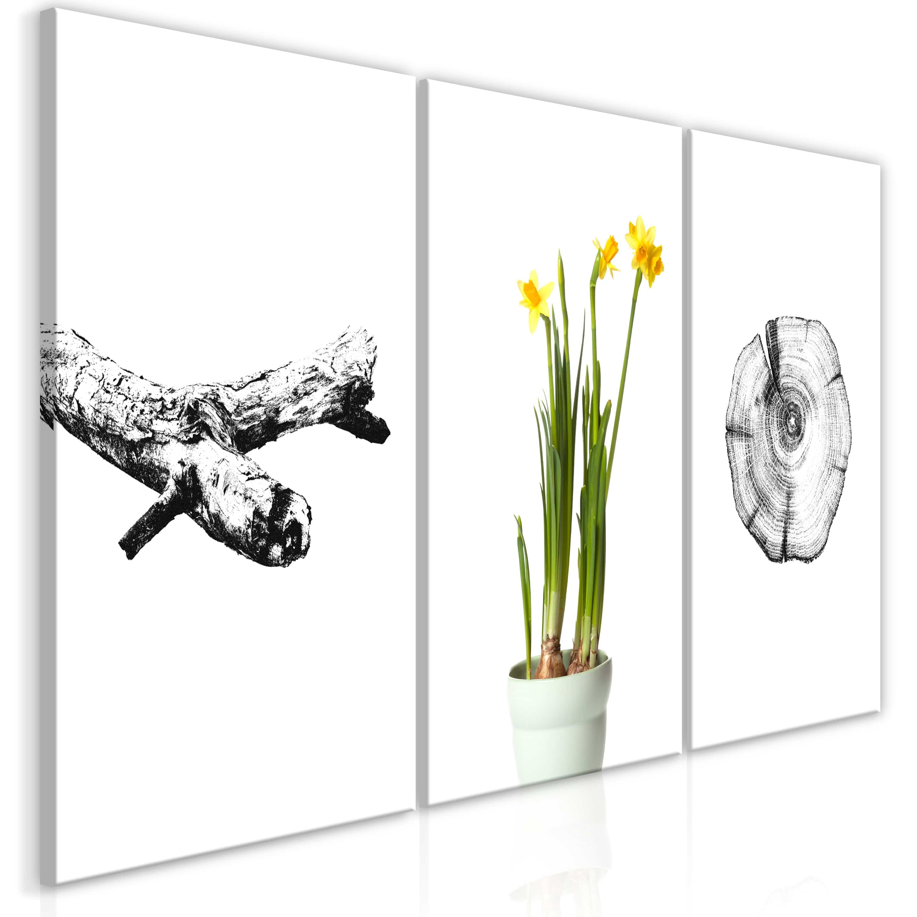 Glezna - Nature (Collection) Home Trends