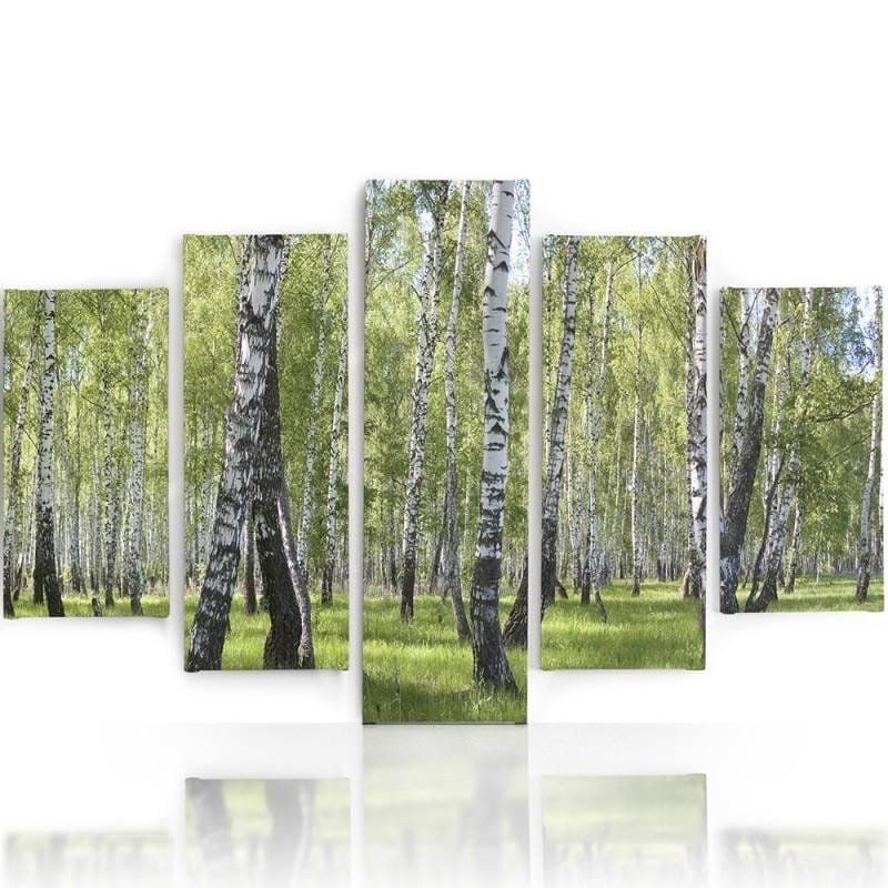 Kanva no 5 daļām - Type A, Birch  Home Trends DECO