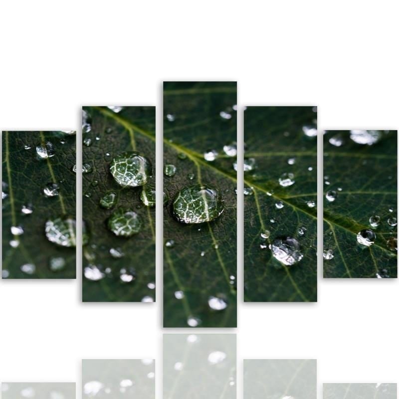 Kanva no 5 daļām - Type A, Raindrops On A Leaf  Home Trends DECO