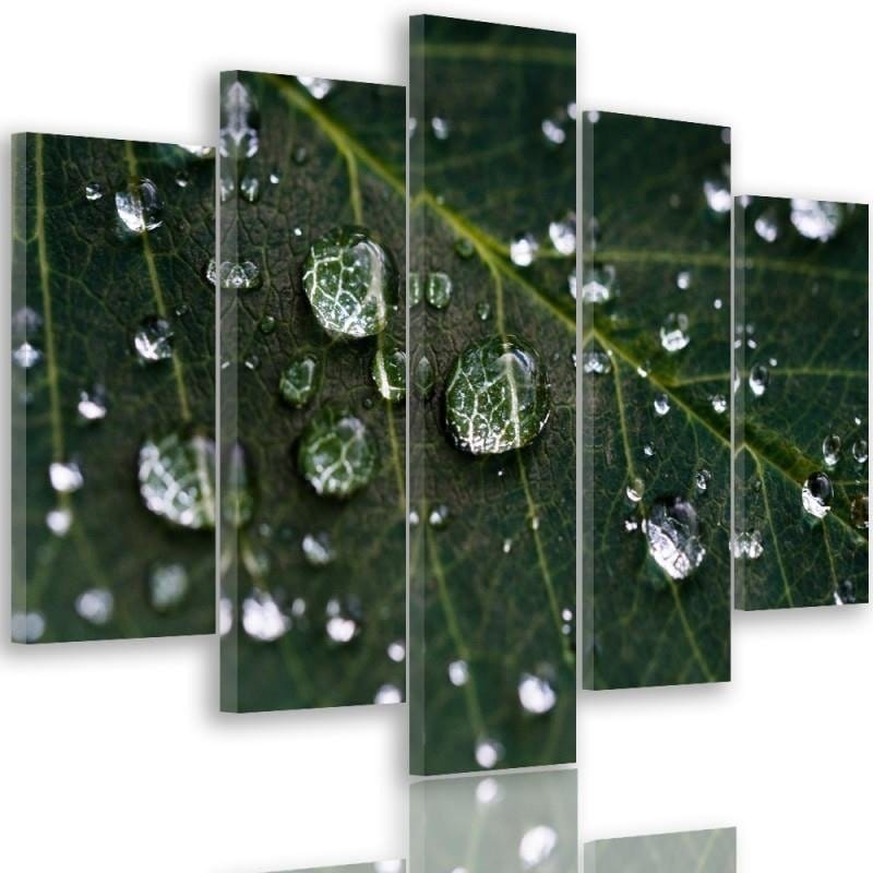 Kanva no 5 daļām - Type A, Raindrops On A Leaf  Home Trends DECO