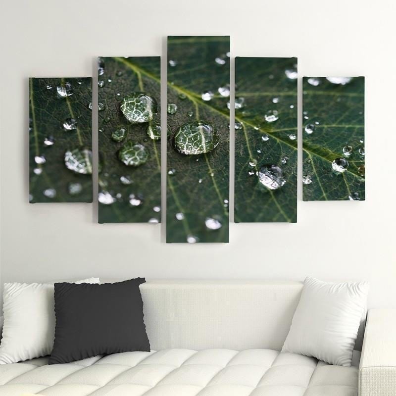 Kanva no 5 daļām - Type A, Raindrops On A Leaf  Home Trends DECO