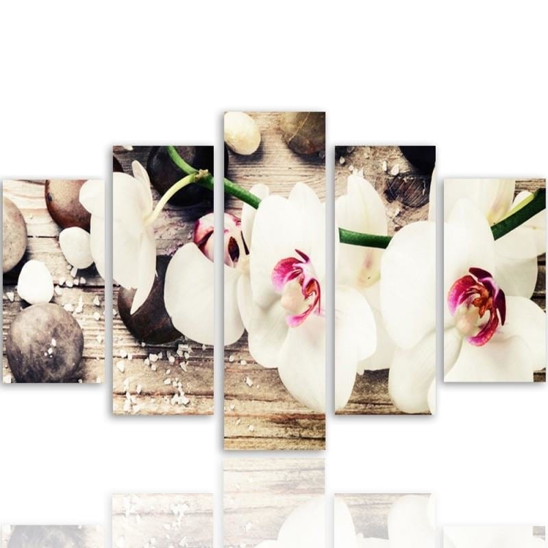 Kanva no 5 daļām - Type A, White Orchid And Stones  Home Trends DECO