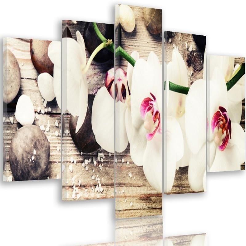 Kanva no 5 daļām - Type A, White Orchid And Stones  Home Trends DECO