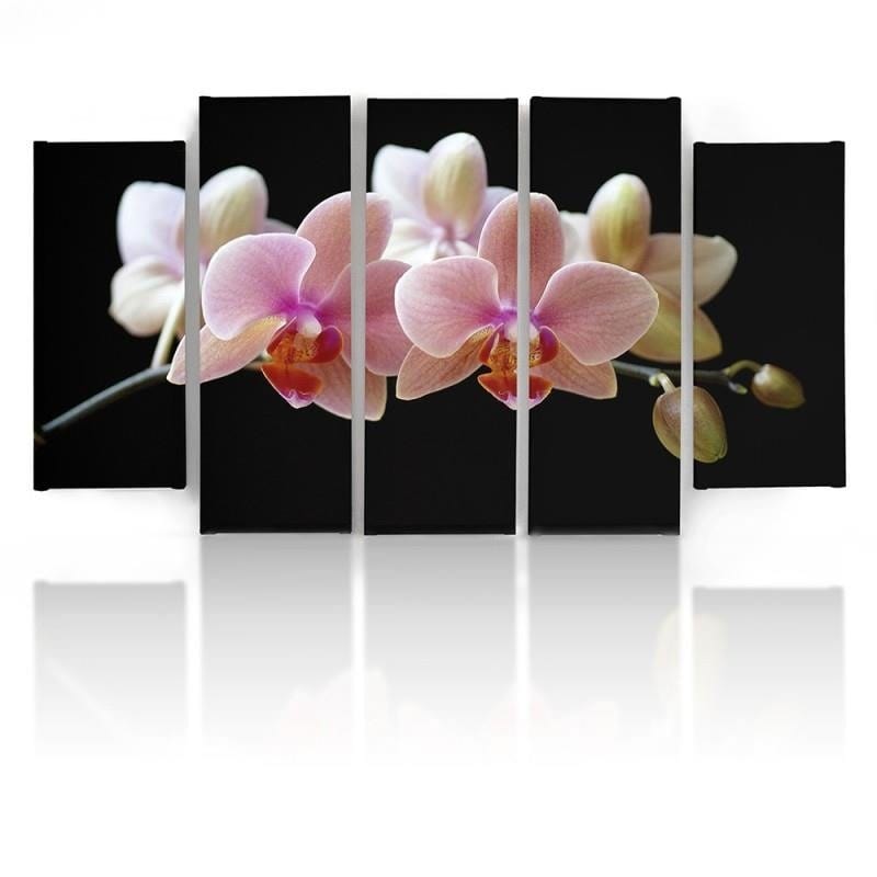 Kanva no 5 daļām - Type B, A Pink Orchid  Home Trends DECO