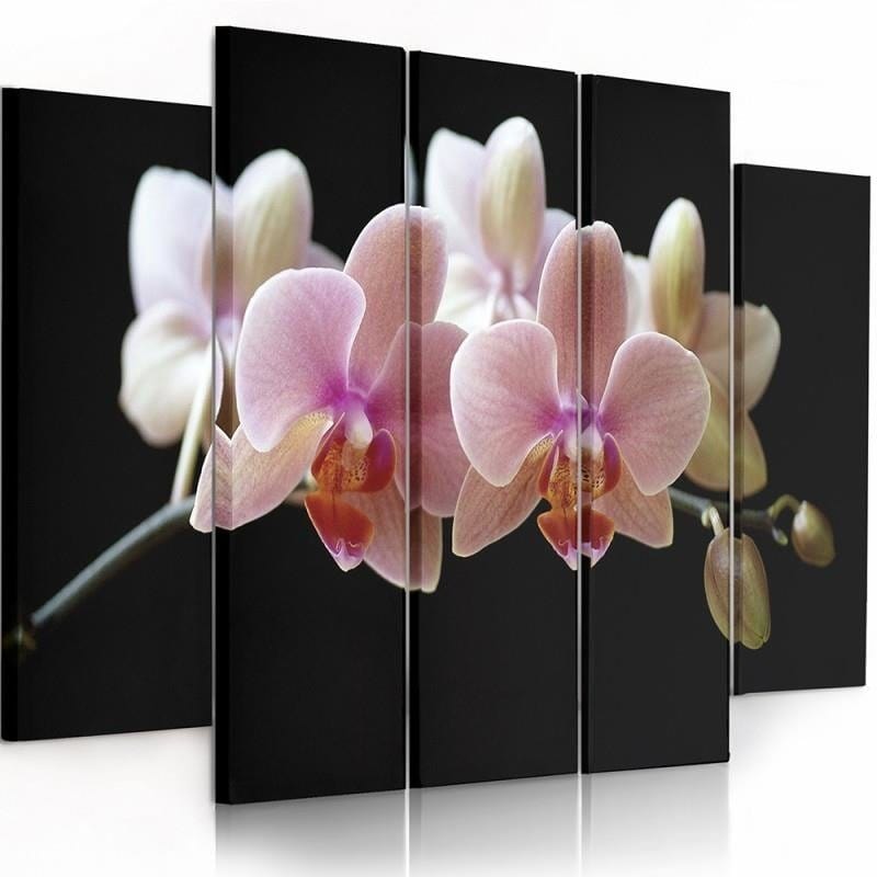 Kanva no 5 daļām - Type B, A Pink Orchid  Home Trends DECO
