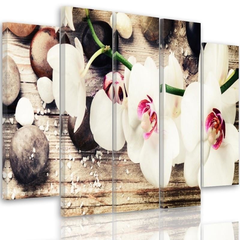 Kanva no 5 daļām - Type B, A White Orchid And Stones  Home Trends DECO