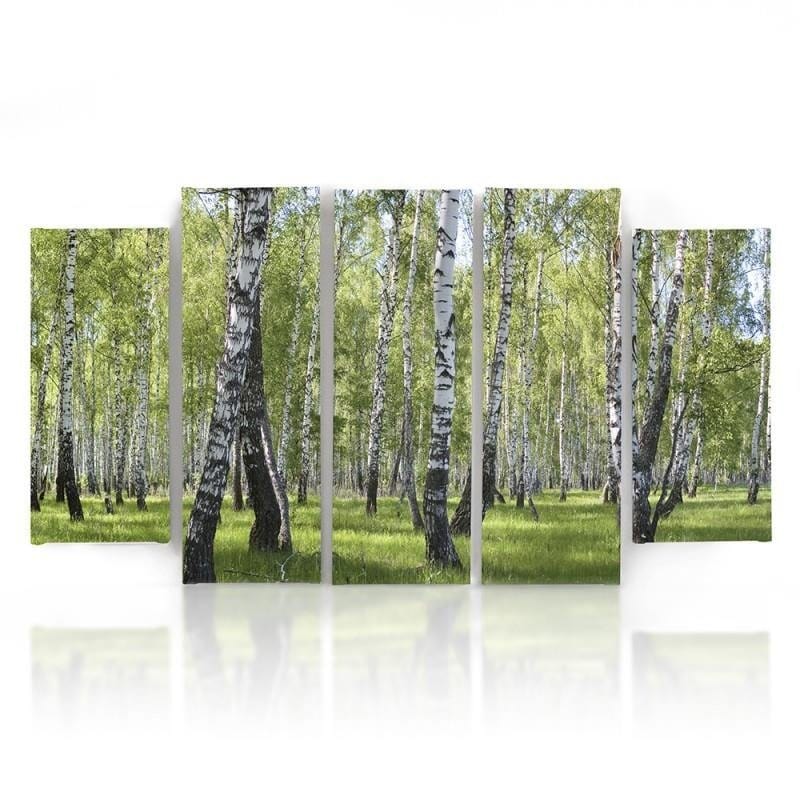 Kanva no 5 daļām - Type B, Birch  Home Trends DECO