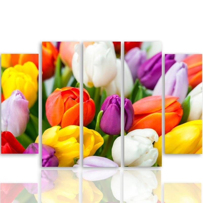 Kanva no 5 daļām - Type B, Colorful Tulips  Home Trends DECO