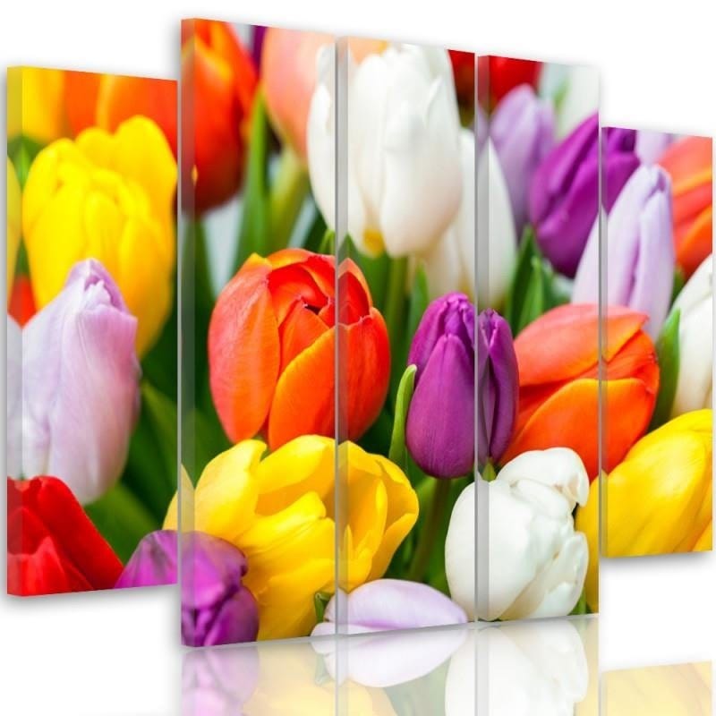 Kanva no 5 daļām - Type B, Colorful Tulips  Home Trends DECO