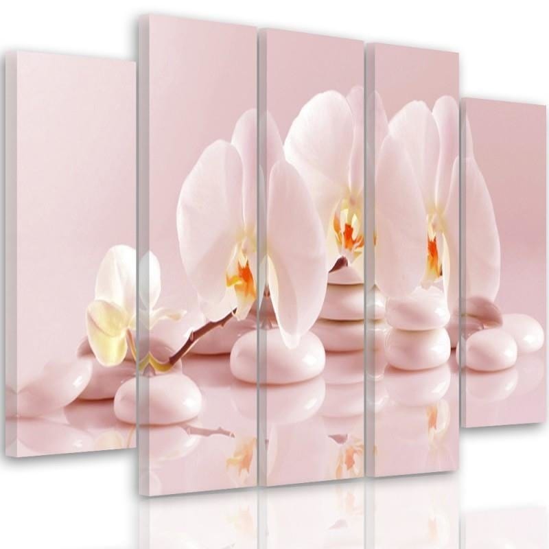 Kanva no 5 daļām - Type B, Orchid On The Stones  Home Trends DECO