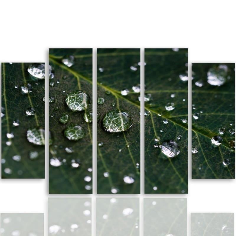 Kanva no 5 daļām - Type B, Raindrops On A Leaf  Home Trends DECO