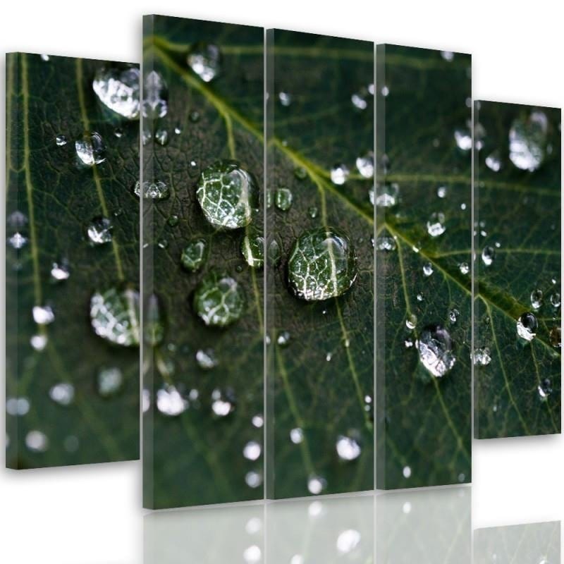 Kanva no 5 daļām - Type B, Raindrops On A Leaf  Home Trends DECO