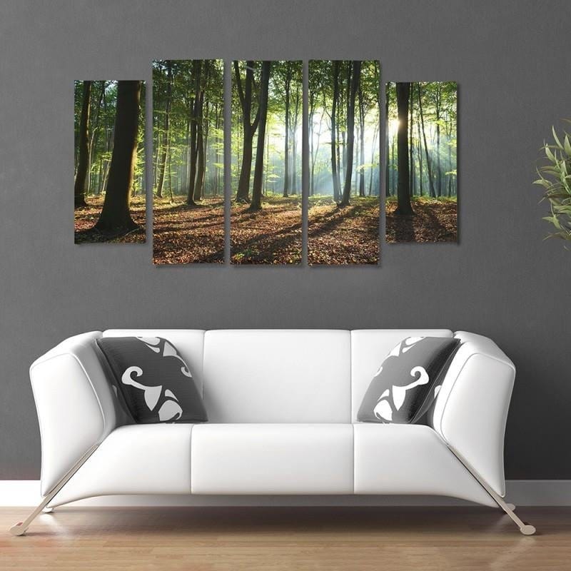 Kanva no 5 daļām - Type B, Rays Of The Sun In The Forest  Home Trends DECO
