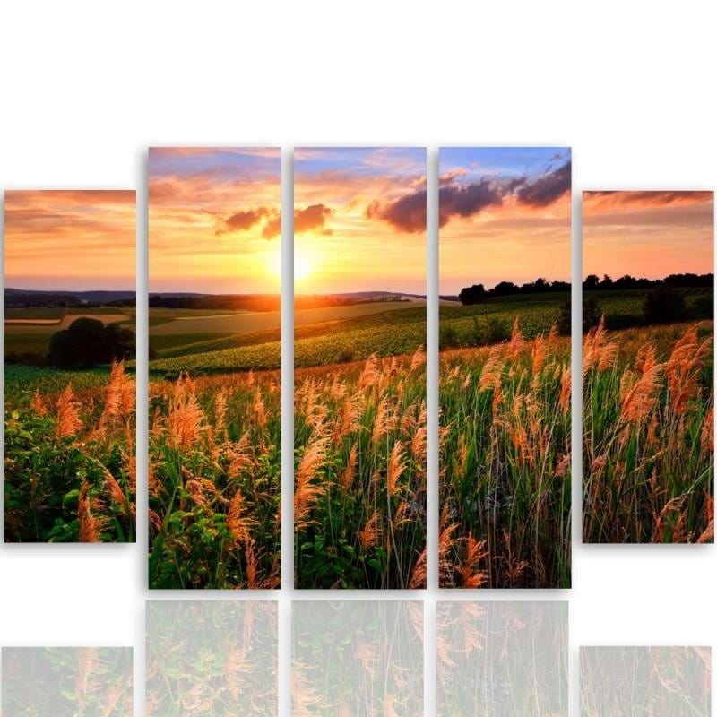 Kanva no 5 daļām - Type B, Sunset Over The Fields  Home Trends DECO