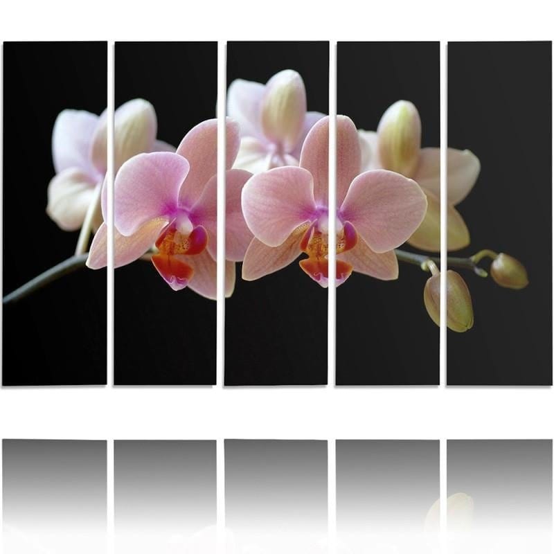 Kanva no 5 daļām - Type C, A Pink Orchid  Home Trends DECO