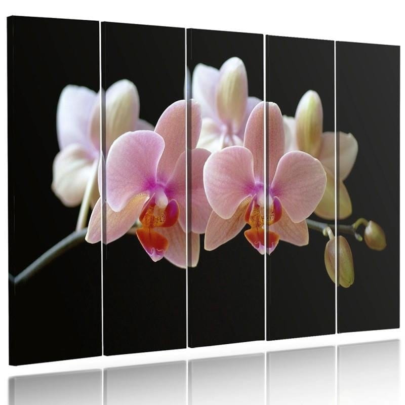 Kanva no 5 daļām - Type C, A Pink Orchid  Home Trends DECO