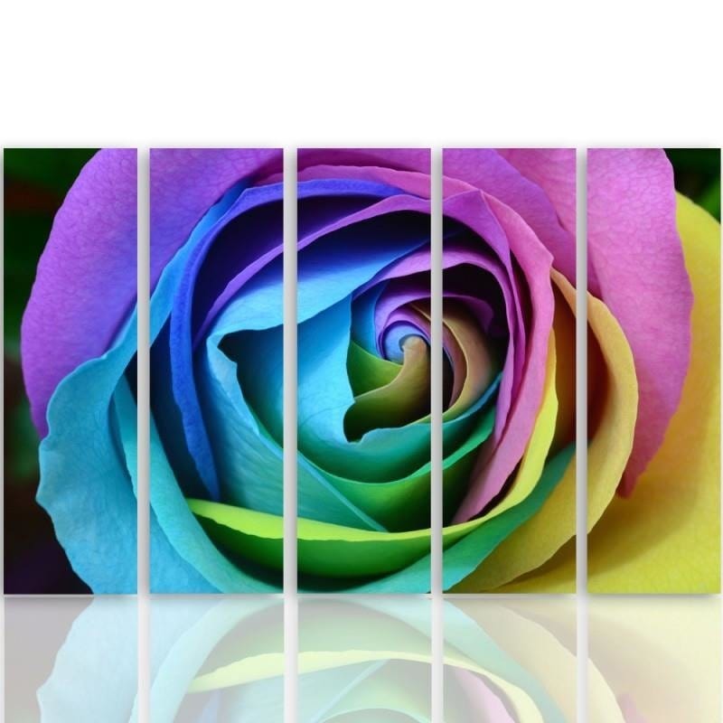 Kanva no 5 daļām - Type C, Color Rose  Home Trends DECO