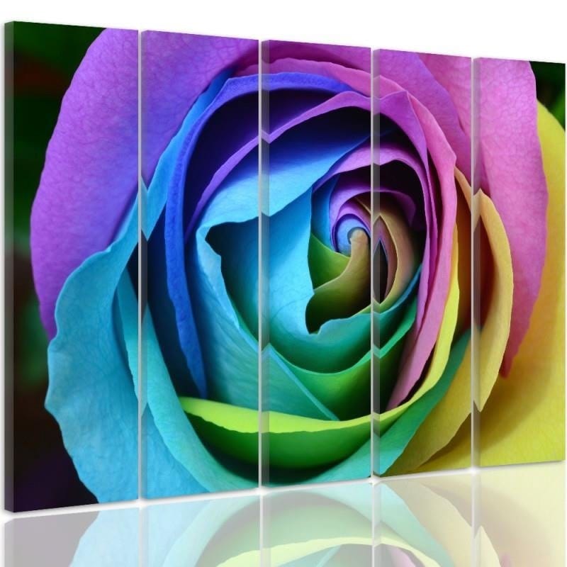 Kanva no 5 daļām - Type C, Color Rose  Home Trends DECO