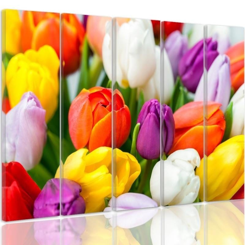 Kanva no 5 daļām - Type C, Colorful Tulips  Home Trends DECO