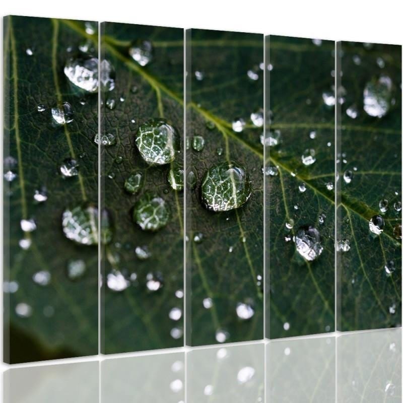 Kanva no 5 daļām - Type C, Rain Drops On A Leaf  Home Trends DECO