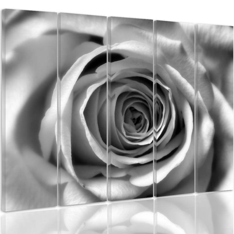 Kanva no 5 daļām - Type C, Rose Flower  Home Trends DECO