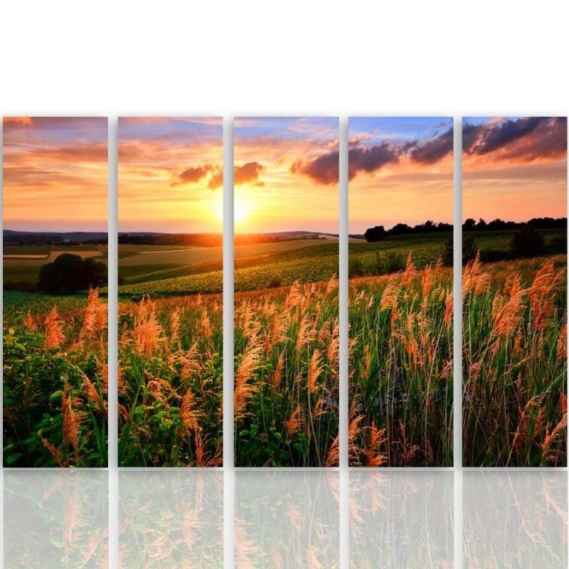 Kanva no 5 daļām - Type C, Sunset Over The Fields  Home Trends DECO