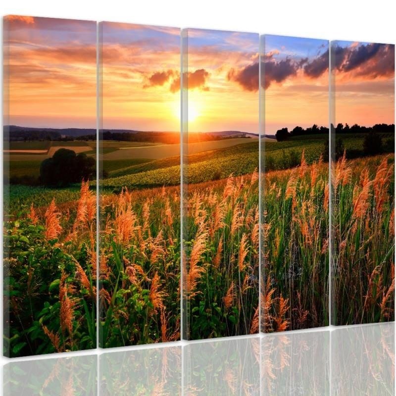 Kanva no 5 daļām - Type C, Sunset Over The Fields  Home Trends DECO