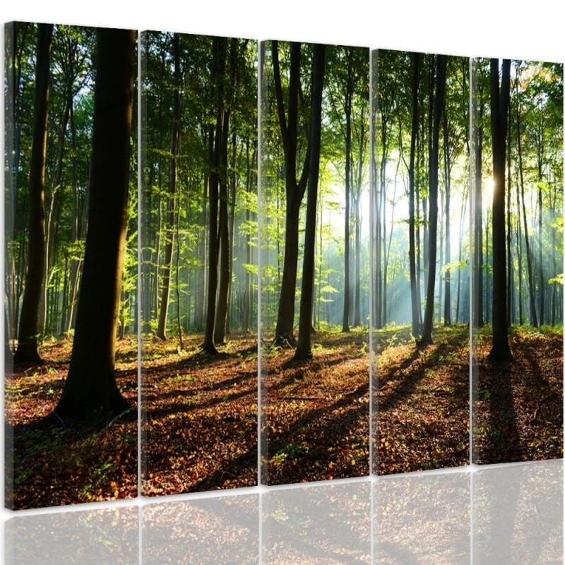 Kanva no 5 daļām - Type C, The Sun Rays In The Forest  Home Trends DECO