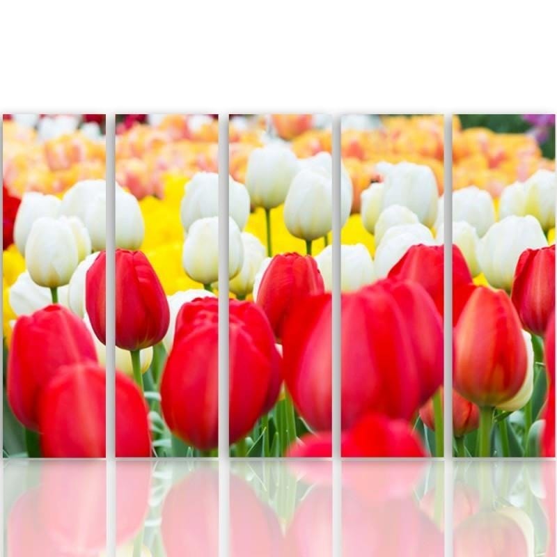 Kanva no 5 daļām - Type C, White And Red Tulips  Home Trends DECO