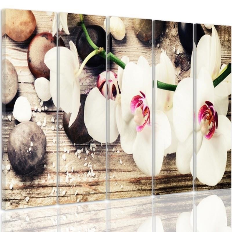 Kanva no 5 daļām - Type C, White Orchid And Stones  Home Trends DECO