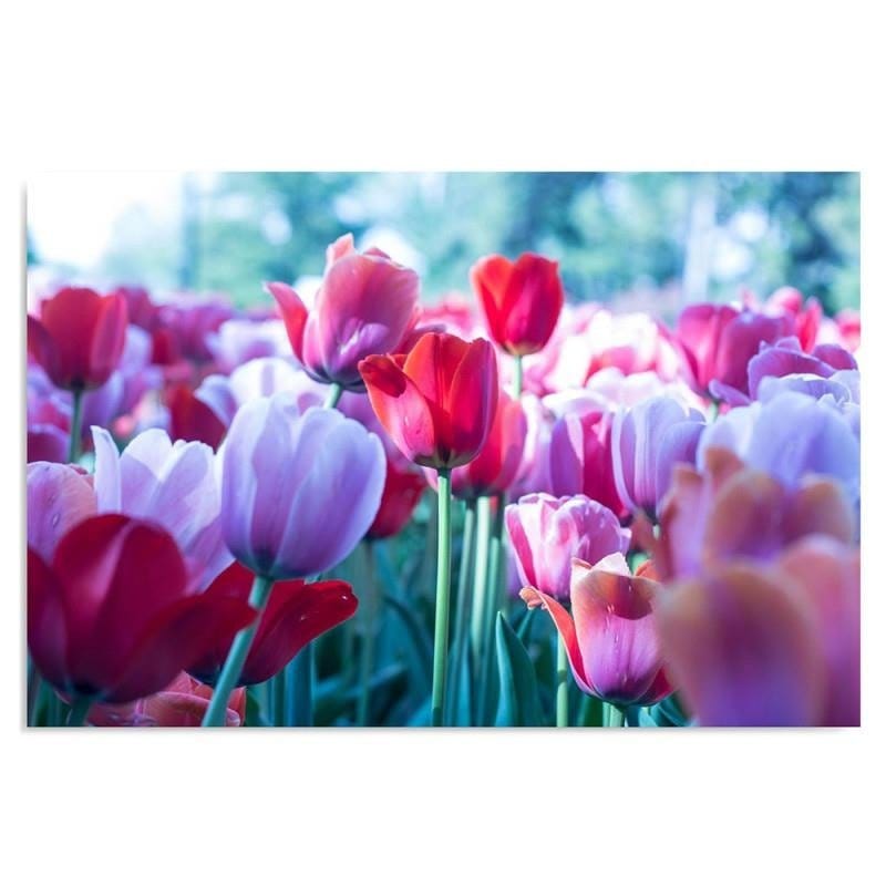 Kanva - Of Tulips  Home Trends DECO