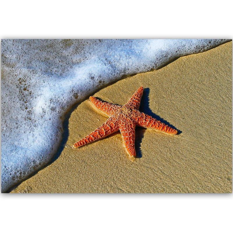 Kanva - Orange Starfish  Home Trends DECO