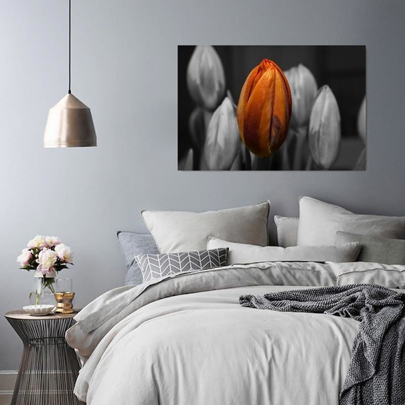 Kanva - Orange Tulip  Home Trends DECO