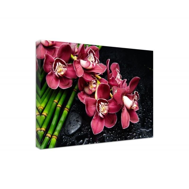 Kanva - Orchid On Bambusach  Home Trends DECO