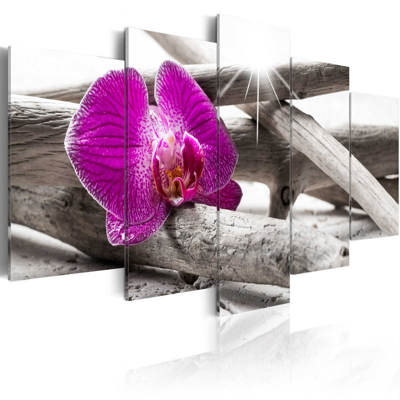 Glezna - Orchid on beach Home Trends