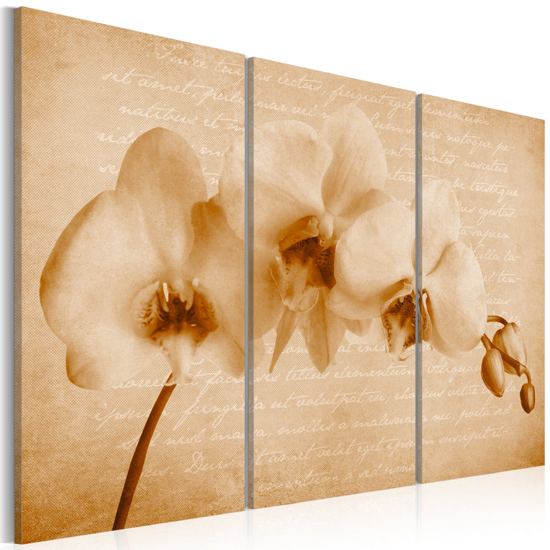 Glezna - orchid (vintage) Home Trends