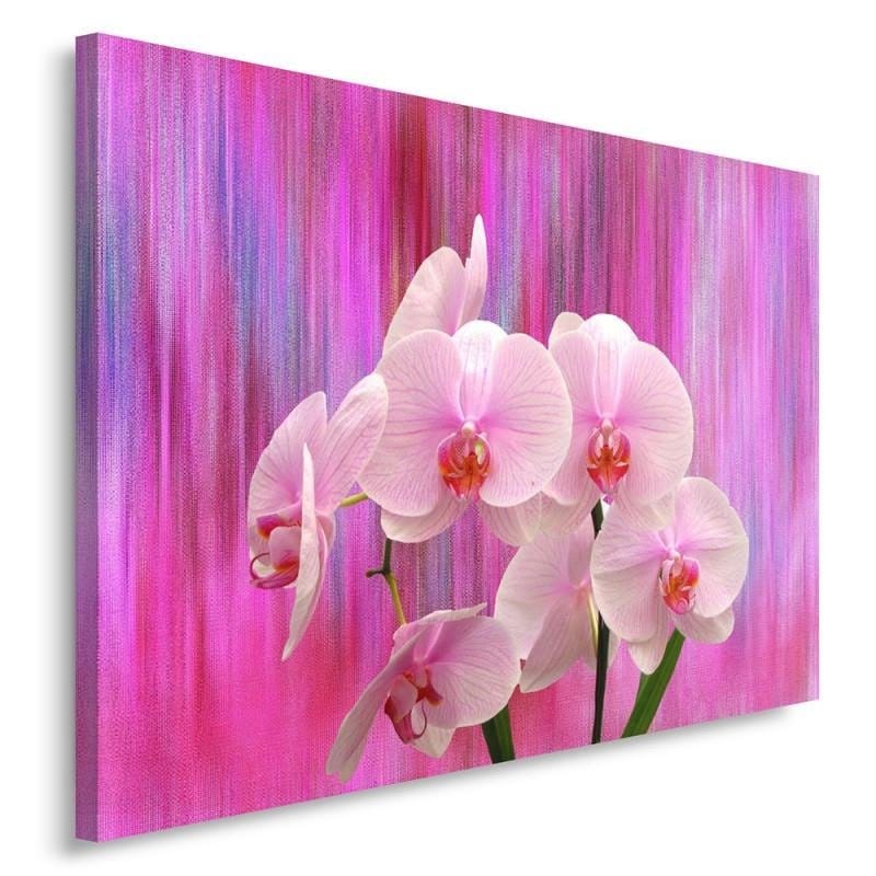 Kanva - Orchids 11  Home Trends DECO