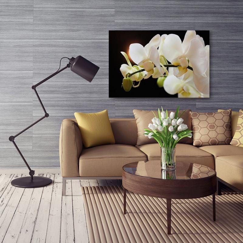 Kanva - Orchids 12  Home Trends DECO